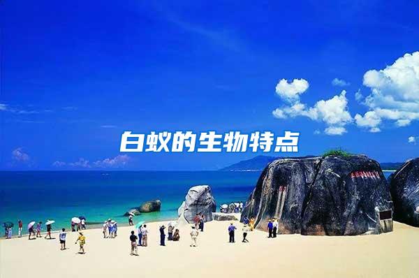 白蟻的生物特點
