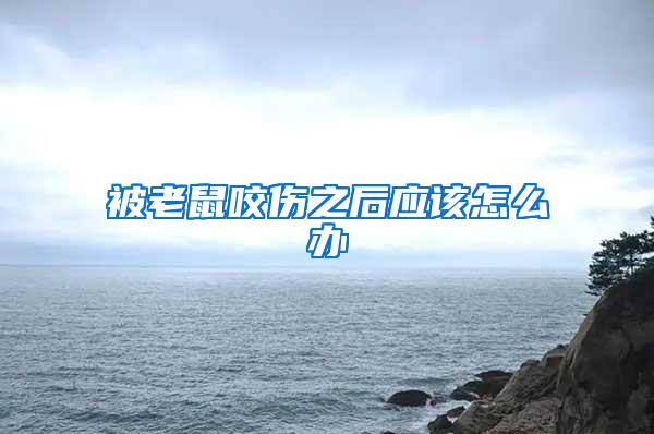 被老鼠咬傷之后應該怎么辦