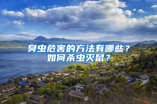 臭蟲危害的方法有哪些？如何殺蟲滅鼠？