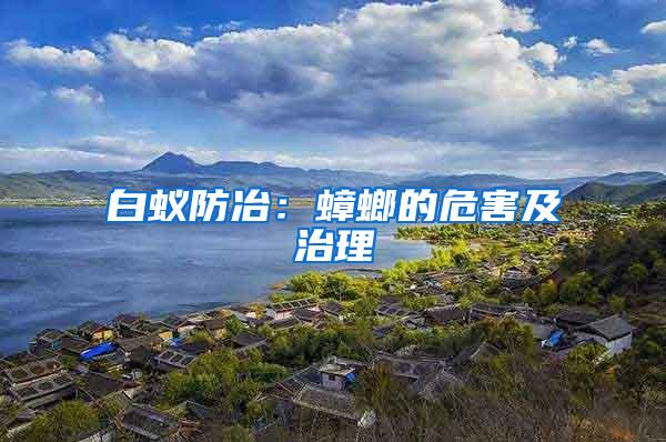 白蟻防冶：蟑螂的危害及治理