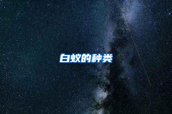 白蟻的種類(lèi)