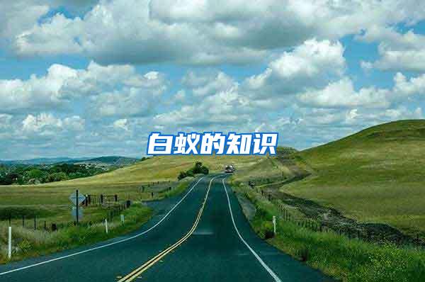 白蟻的知識