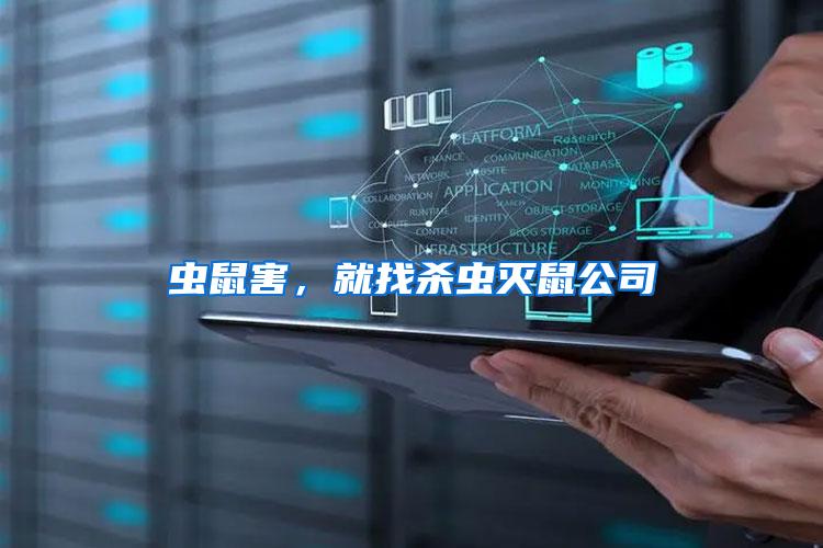 蟲鼠害，就找殺蟲滅鼠公司