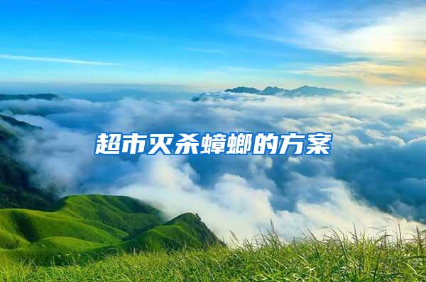 超市滅殺蟑螂的方案