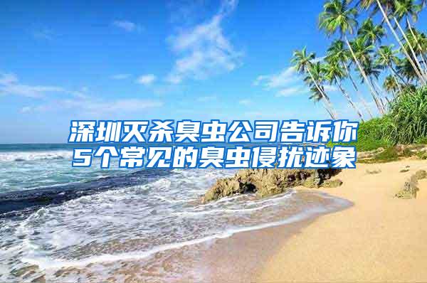 深圳滅殺臭蟲公司告訴你5個常見的臭蟲侵擾跡象