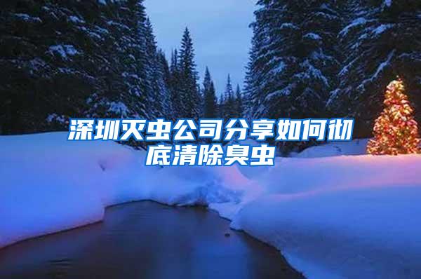 深圳滅蟲公司分享如何徹底清除臭蟲