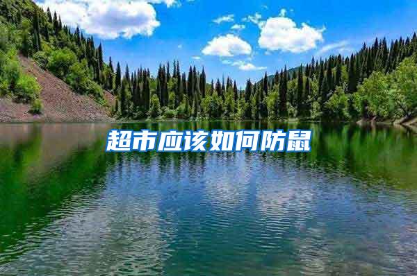 超市應該如何防鼠