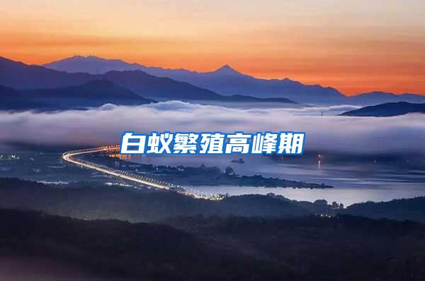 白蟻繁殖高峰期