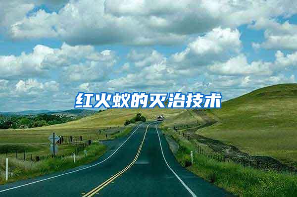 紅火蟻的滅治技術