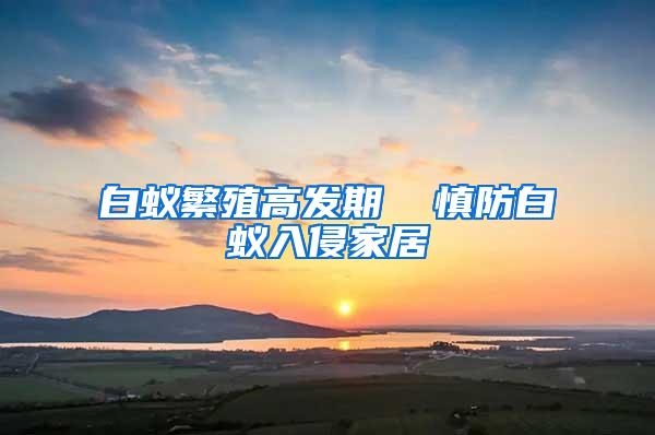 白蟻繁殖高發(fā)期  慎防白蟻入侵家居