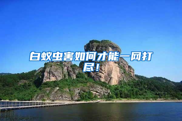 白蟻蟲害如何才能一網打盡！