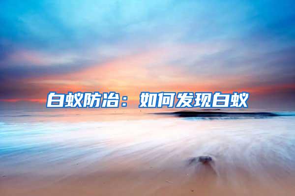 白蟻防冶：如何發(fā)現(xiàn)白蟻