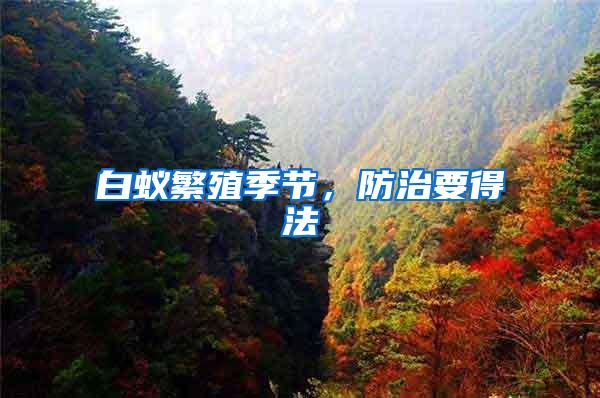 白蟻繁殖季節，防治要得法