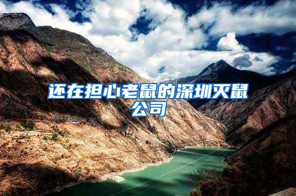 還在擔心老鼠的深圳滅鼠公司