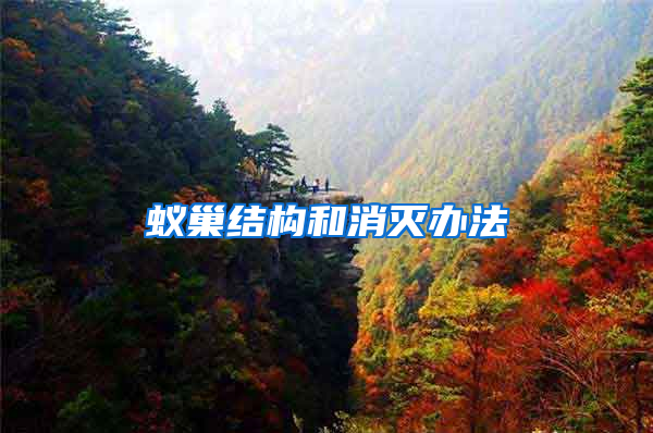 蟻巢結構和消滅辦法