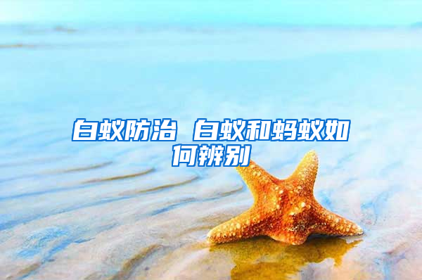 白蟻防治 白蟻和螞蟻如何辨別