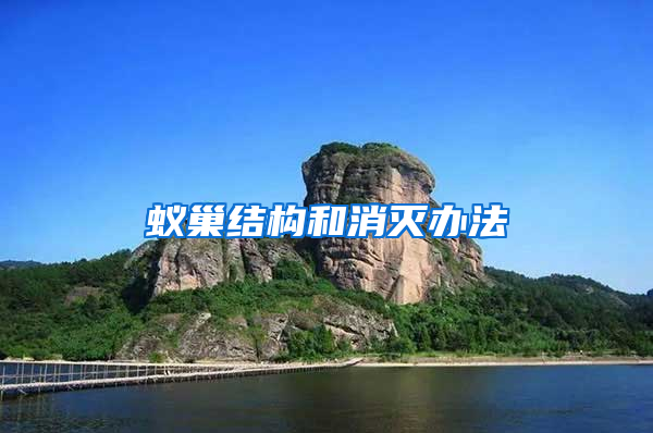 蟻巢結構和消滅辦法
