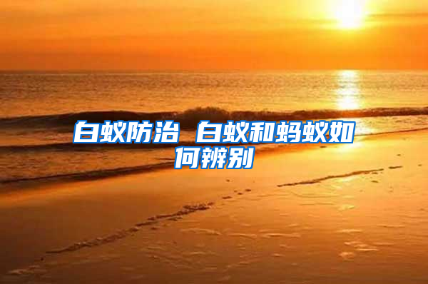 白蟻防治 白蟻和螞蟻如何辨別