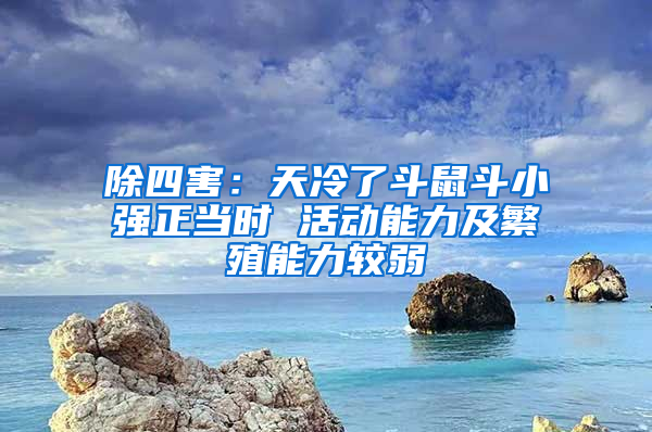 除四害：天冷了斗鼠斗小強正當時 活動能力及繁殖能力較弱