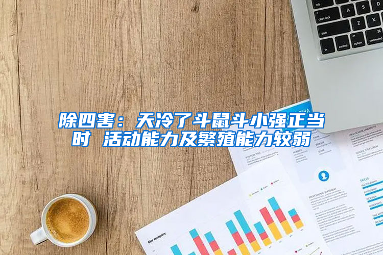 除四害：天冷了斗鼠斗小強正當(dāng)時 活動能力及繁殖能力較弱