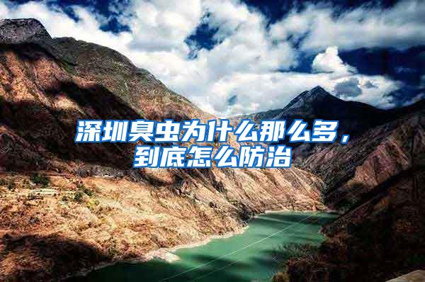 深圳臭蟲為什么那么多，到底怎么防治