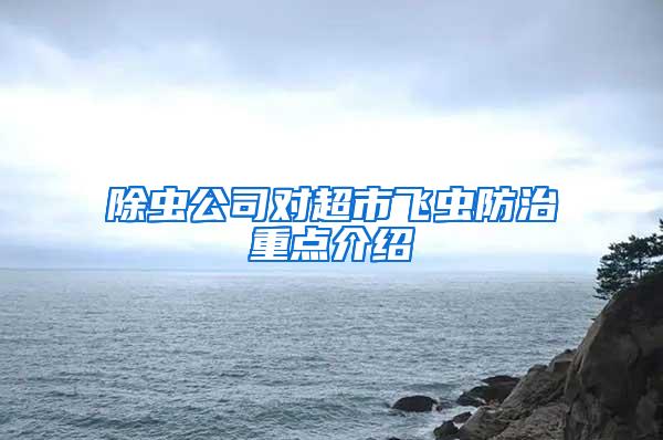 除蟲公司對超市飛蟲防治重點介紹