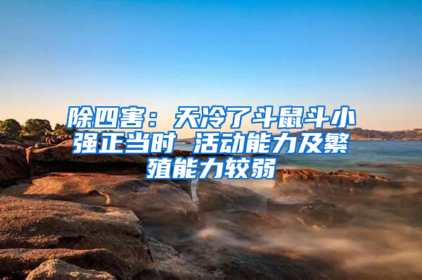 除四害：天冷了斗鼠斗小強正當時 活動能力及繁殖能力較弱