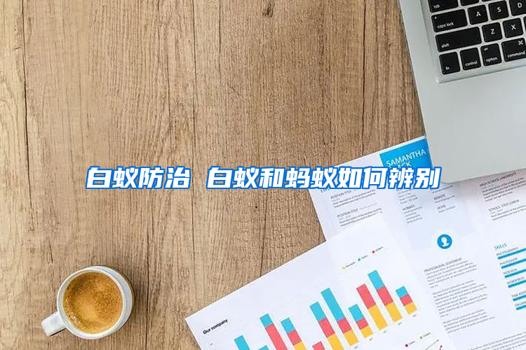 白蟻防治 白蟻和螞蟻如何辨別