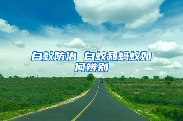白蟻防治 白蟻和螞蟻如何辨別