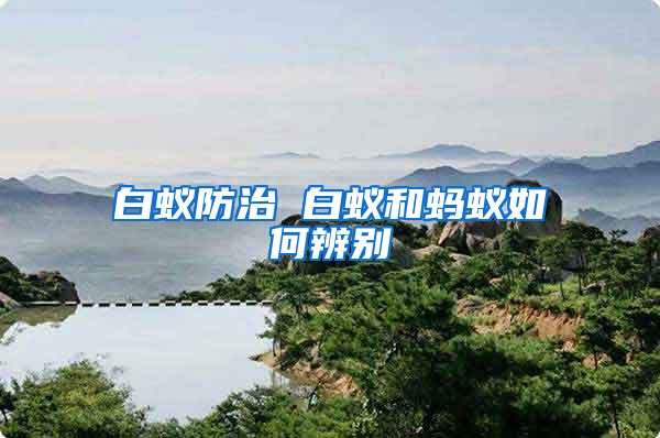 白蟻防治 白蟻和螞蟻如何辨別
