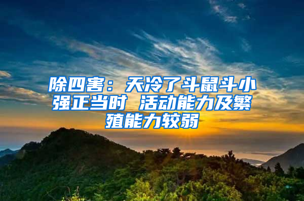 除四害：天冷了斗鼠斗小強(qiáng)正當(dāng)時(shí) 活動(dòng)能力及繁殖能力較弱
