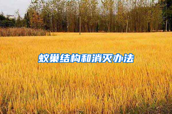 蟻巢結構和消滅辦法