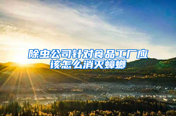 除蟲公司針對(duì)食品工廠應(yīng)該怎么消滅蟑螂