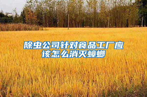 除蟲(chóng)公司針對(duì)食品工廠應(yīng)該怎么消滅蟑螂