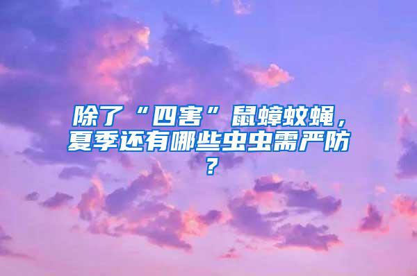 除了“四害”鼠蟑蚊蠅，夏季還有哪些蟲蟲需嚴(yán)防？