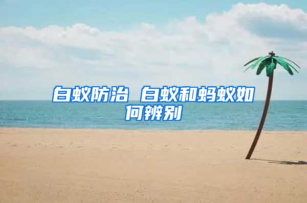 白蟻防治 白蟻和螞蟻如何辨別