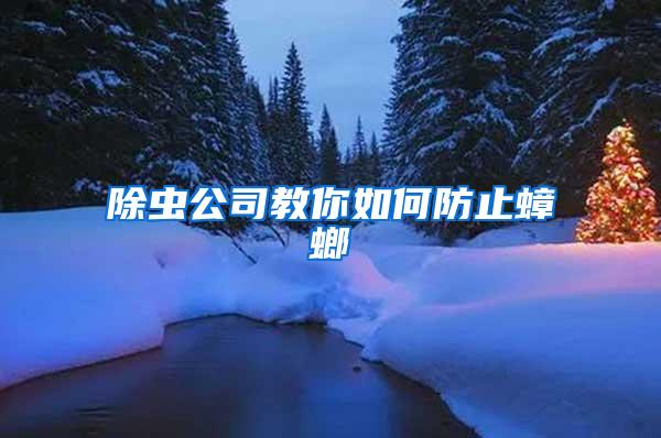 除蟲公司教你如何防止蟑螂