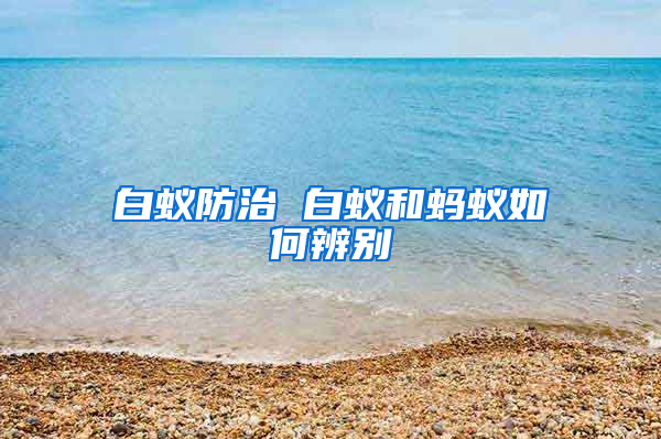白蟻防治 白蟻和螞蟻如何辨別