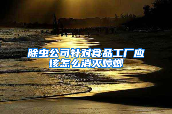 除蟲公司針對食品工廠應(yīng)該怎么消滅蟑螂
