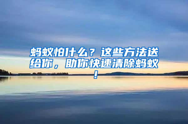 螞蟻怕什么？這些方法送給你，助你快速清除螞蟻！