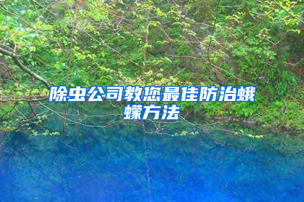 除蟲公司教您最佳防治蛾蠓方法