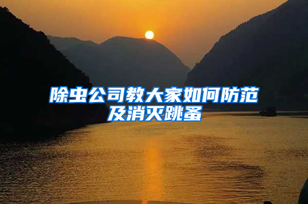 除蟲公司教大家如何防范及消滅跳蚤