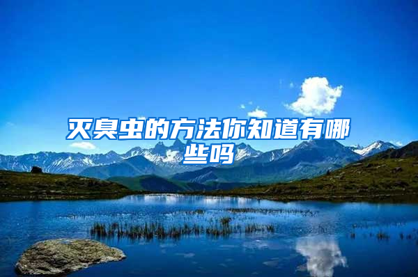 滅臭蟲的方法你知道有哪些嗎