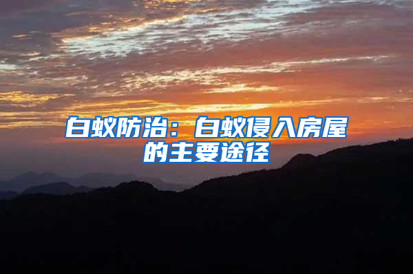 白蟻防治：白蟻侵入房屋的主要途徑
