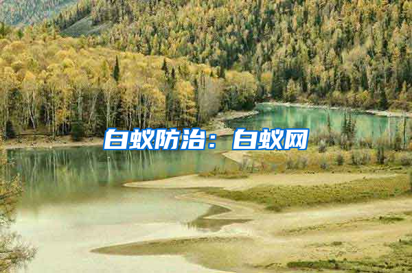 白蟻防治：白蟻網(wǎng)