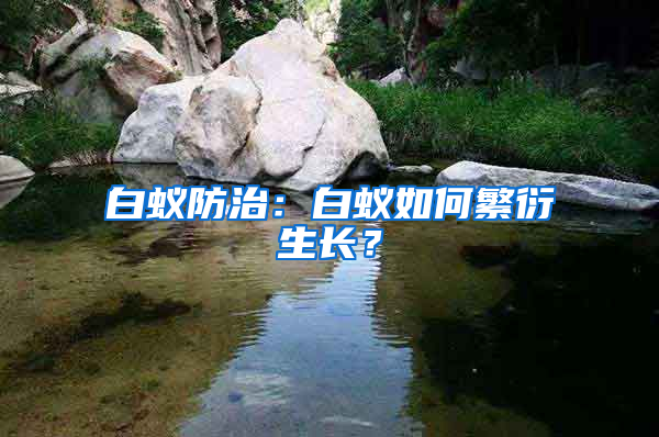 白蟻防治：白蟻如何繁衍生長？