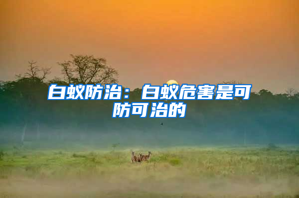 白蟻防治：白蟻危害是可防可治的