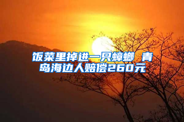 飯菜里掉進一只蟑螂 青島海邊人賠償260元
