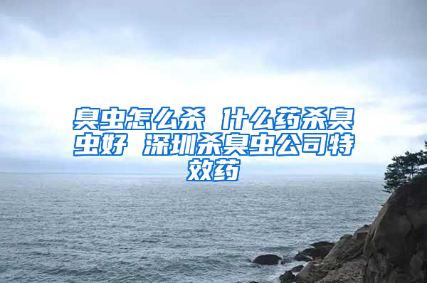 臭蟲怎么殺 什么藥殺臭蟲好 深圳殺臭蟲公司特效藥
