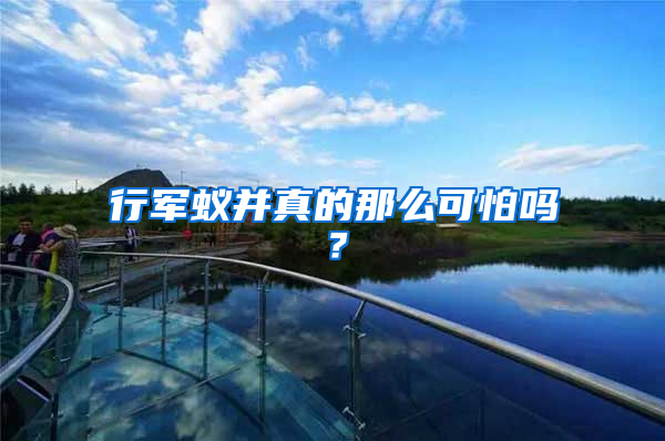 行軍蟻并真的那么可怕嗎？